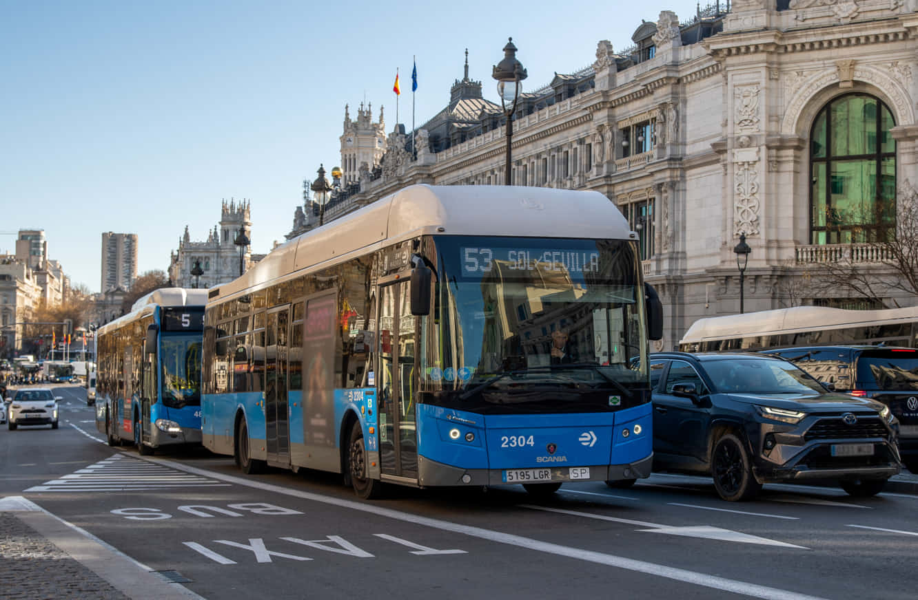 Un total de 71 líneas de EMT alteran su itinerario por el Movistar Madrid Medio Maratón